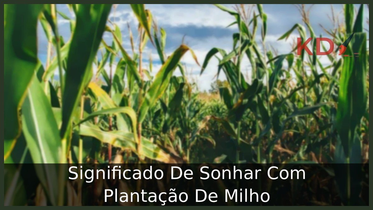 Sonhar Com Plantação De Milho: Significado verdadeiro! 1 Sonhar Com Plantação De Milho